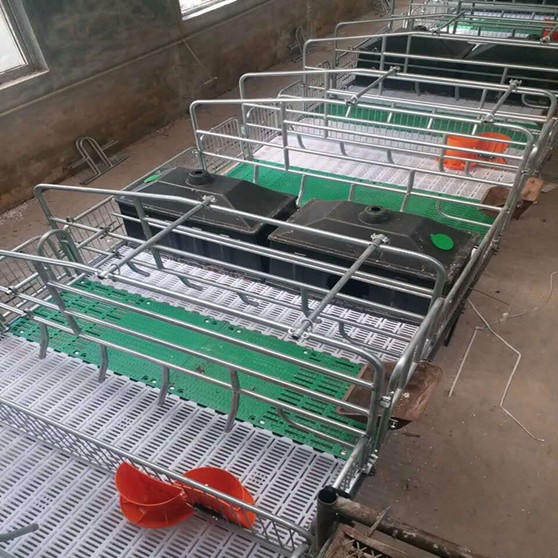 世昌畜牧产床价格 新式母猪产床 新型猪场 定做猪床 养殖设备