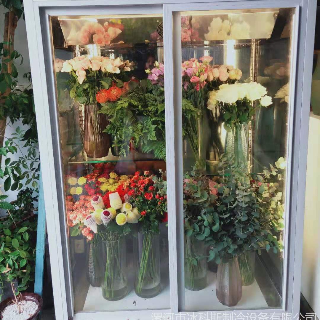 中空玻璃门鲜花柜品牌-鲜花柜-落地式多门鲜花柜 工厂直销 未来雪冷柜  WLX-XH-323