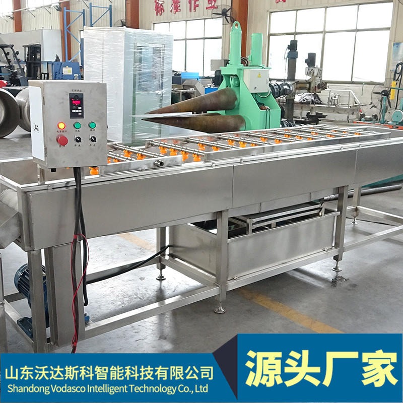 树莓饮料生产设备 大枣清洗分离机器 油梨加工生产线