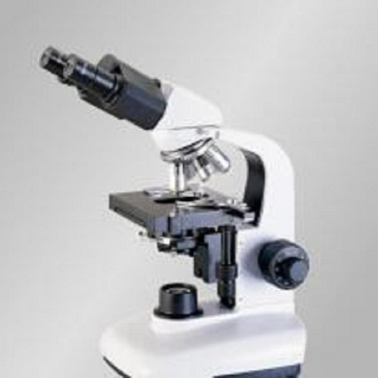 TL1650B双目显微镜，淄博、滨州、东营、济南显微镜