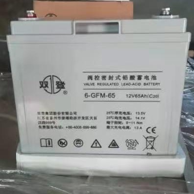 双登蓄电池6-GFM-65 12V65AH 免维护铅酸 ups不间断电源蓄电池 电力电池  总代理报价
