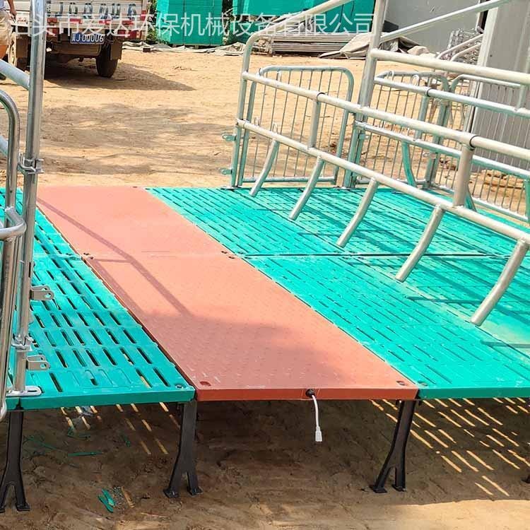 畜牧设备 仔猪保育床 双体猪产床 爱达生产 分娩床复合板