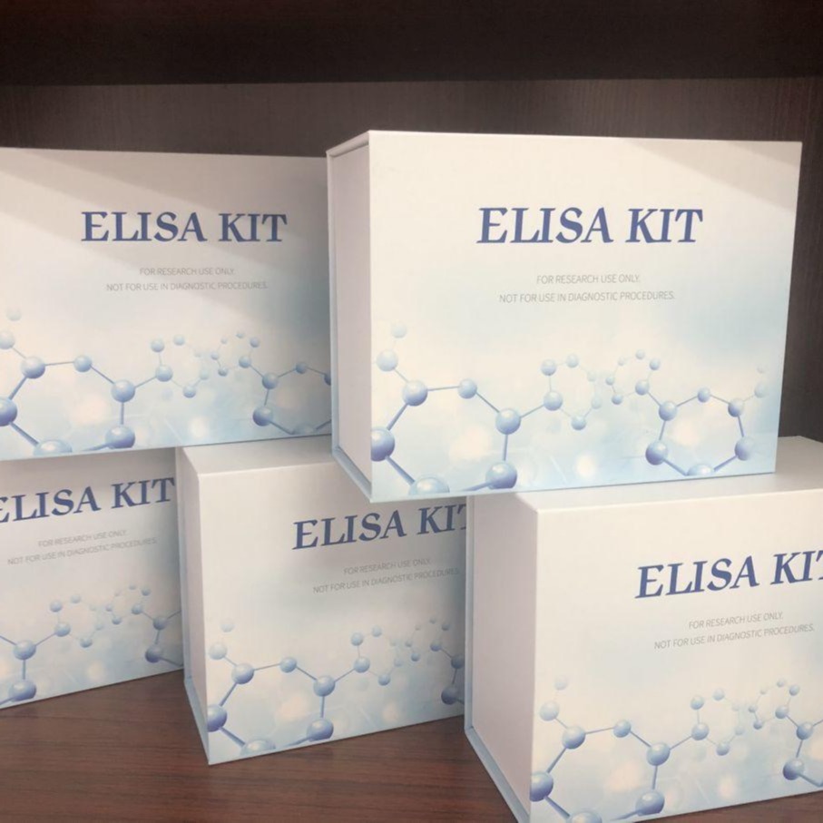 小鼠白细胞介素12试剂盒  IL12P40试剂盒 elisa试剂盒  仑昌硕生物