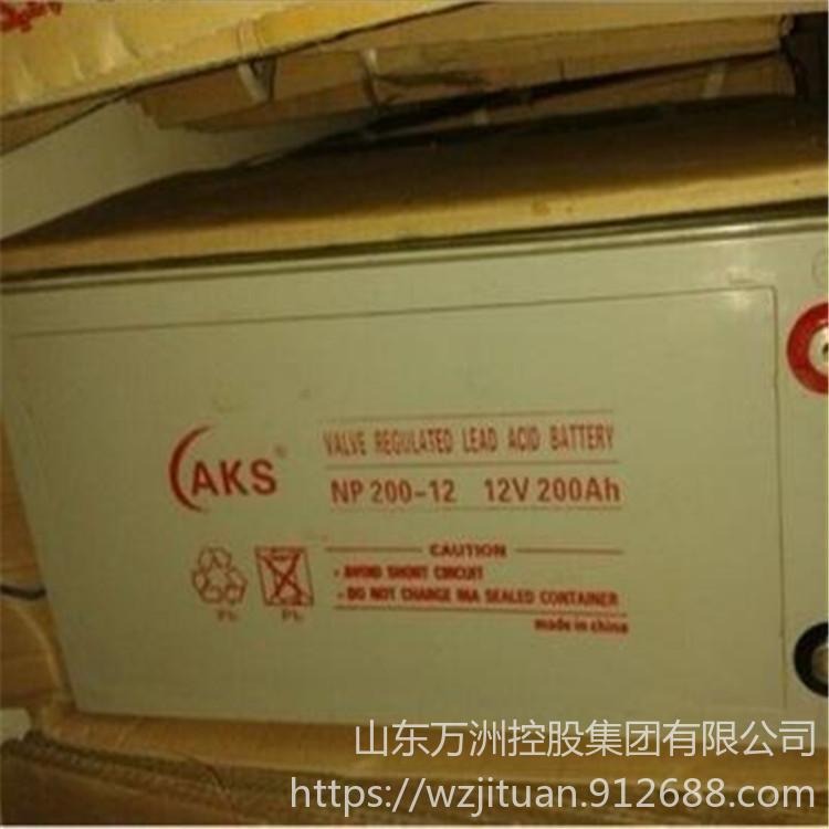 奥克松蓄电池NP200-12 免维护蓄电池12V200AH UPS电源配机柜用 现货供应