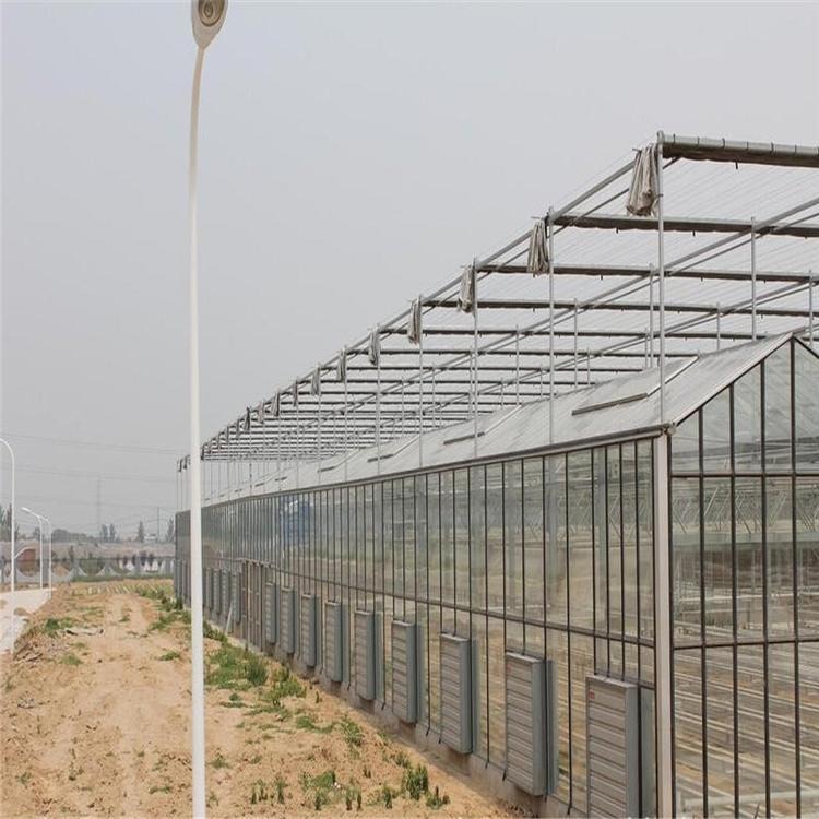 青州鑫泽厂家供应   玻璃温室大棚  温室大棚生产按装 品质可靠 欢迎订购