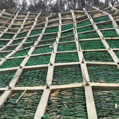 甘肃护坡生态袋 边坡绿化生态袋 带草籽生态袋 40x60 40x80 尺寸齐全可定制
