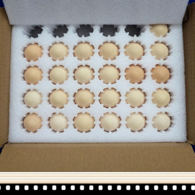 珍珠棉蛋托品牌厂家供应 生产100枚装epe鹅蛋托 防震泡沫寄甲鱼蛋快递托 鹌鹑蛋鸡蛋发泡棉软包装托价格表