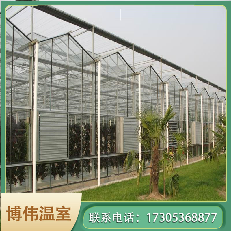 玻璃温室大棚建造价格 锯齿型温室 玻璃联栋温室 博伟 BW