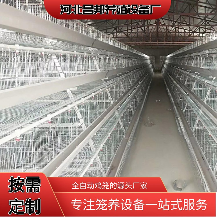 白鸡笼 养殖笼具价格 昌邦 多层叠蛋鸡笼 常年供应