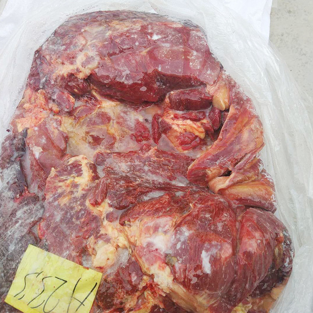 生产批发蒙古马肉 蒙古马前腿肉 冷鲜进口马肉养殖基地大量供应