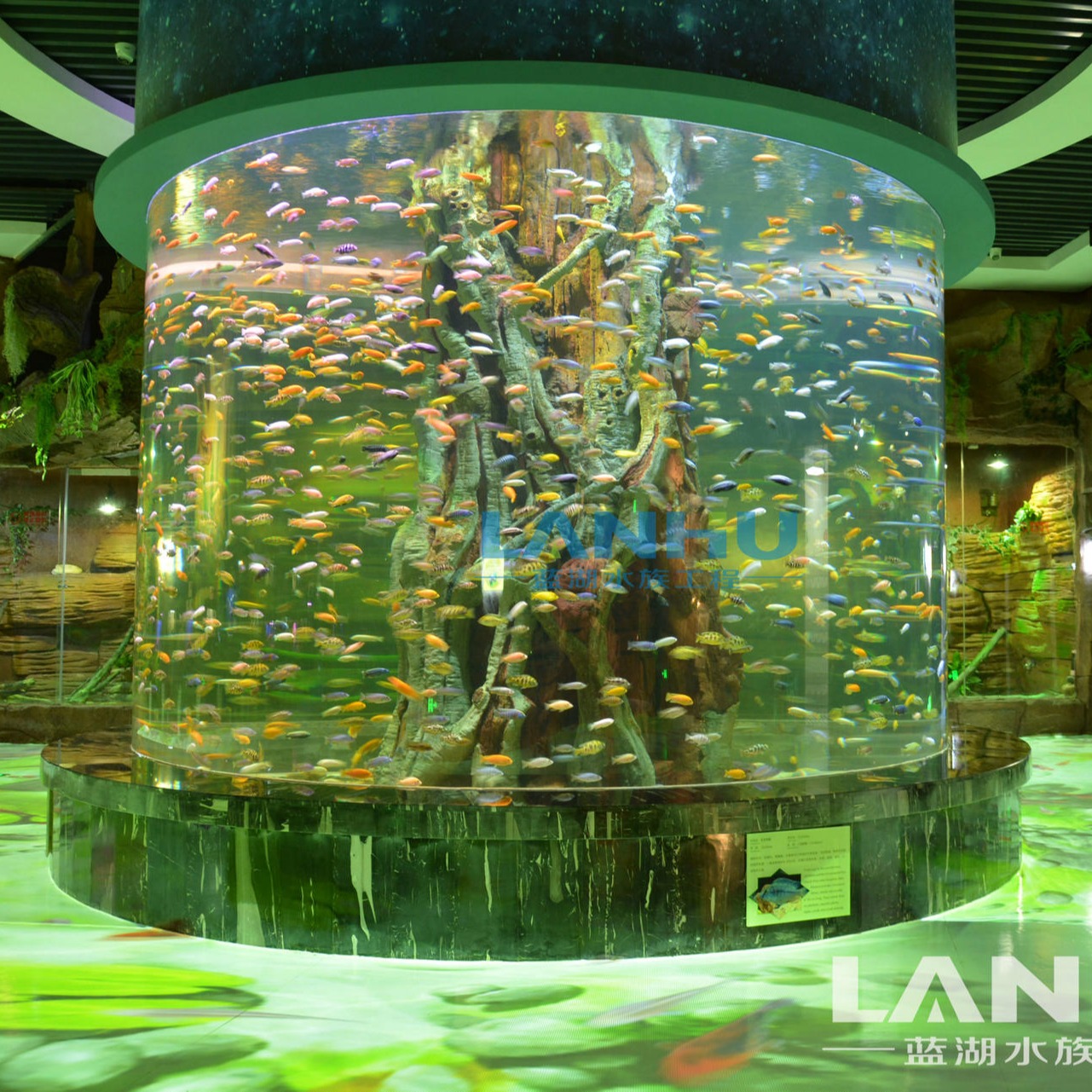 lanhu厂家大型鱼缸安装 海洋馆设计 施工 维护 水族工程 亚克力鱼缸 设计 圆柱鱼缸