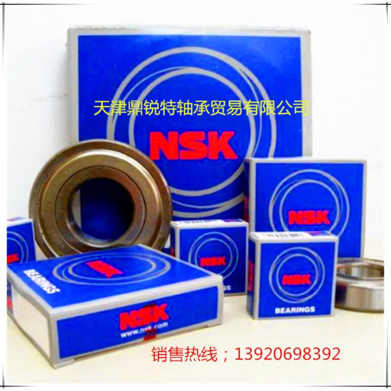 进口轴承 NSK轴承 6002ZZCM 原装日本NSK轴承 型号齐全 代理 价销售