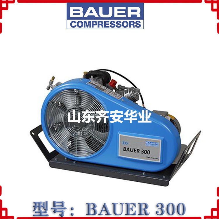 BAUER300-TE德国宝华呼吸器用充气泵300L流量空气压缩机润滑油N28355-1