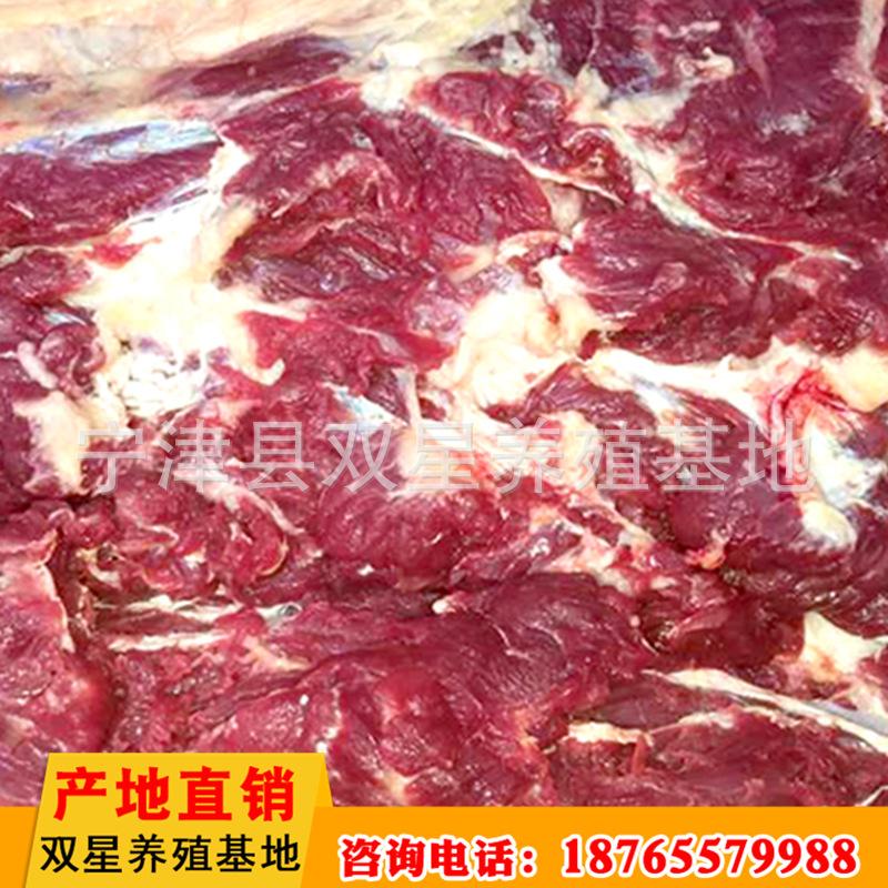 蒙古进口鲜马肉 活马屠宰脖头肉产地直销 天然食品新鲜马肉示例图7