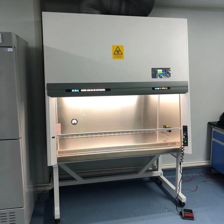 BSC-1100IIA2实验室生物安全柜 二级实验室生物安全柜 半排生物安全柜价格