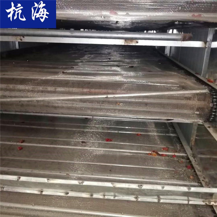 杭海机械 链条式罗汉果烘干机 干燥设备 烘干机厂家