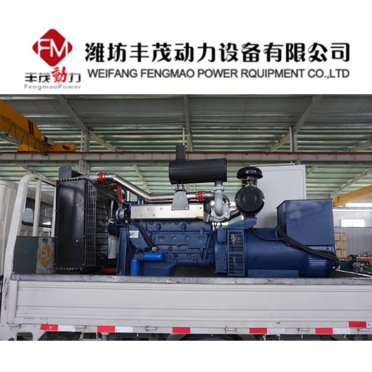 潍坊分厂250kw柴油发电机组选用纯铜无刷发电机三次谐波自励式恒压图片