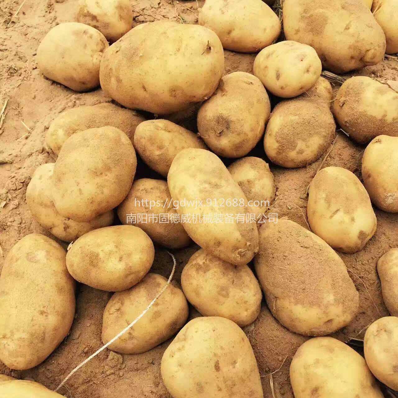 固德威标准型马铃薯淀粉设备-大型淀粉生产线 12-100吨/日 全自动土豆淀粉加工设备