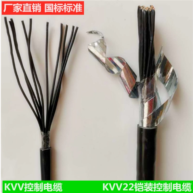 MKVV22 450/750V 6X1矿用阻燃电缆 小猫牌 MKVV6X1矿用铠装控制电缆