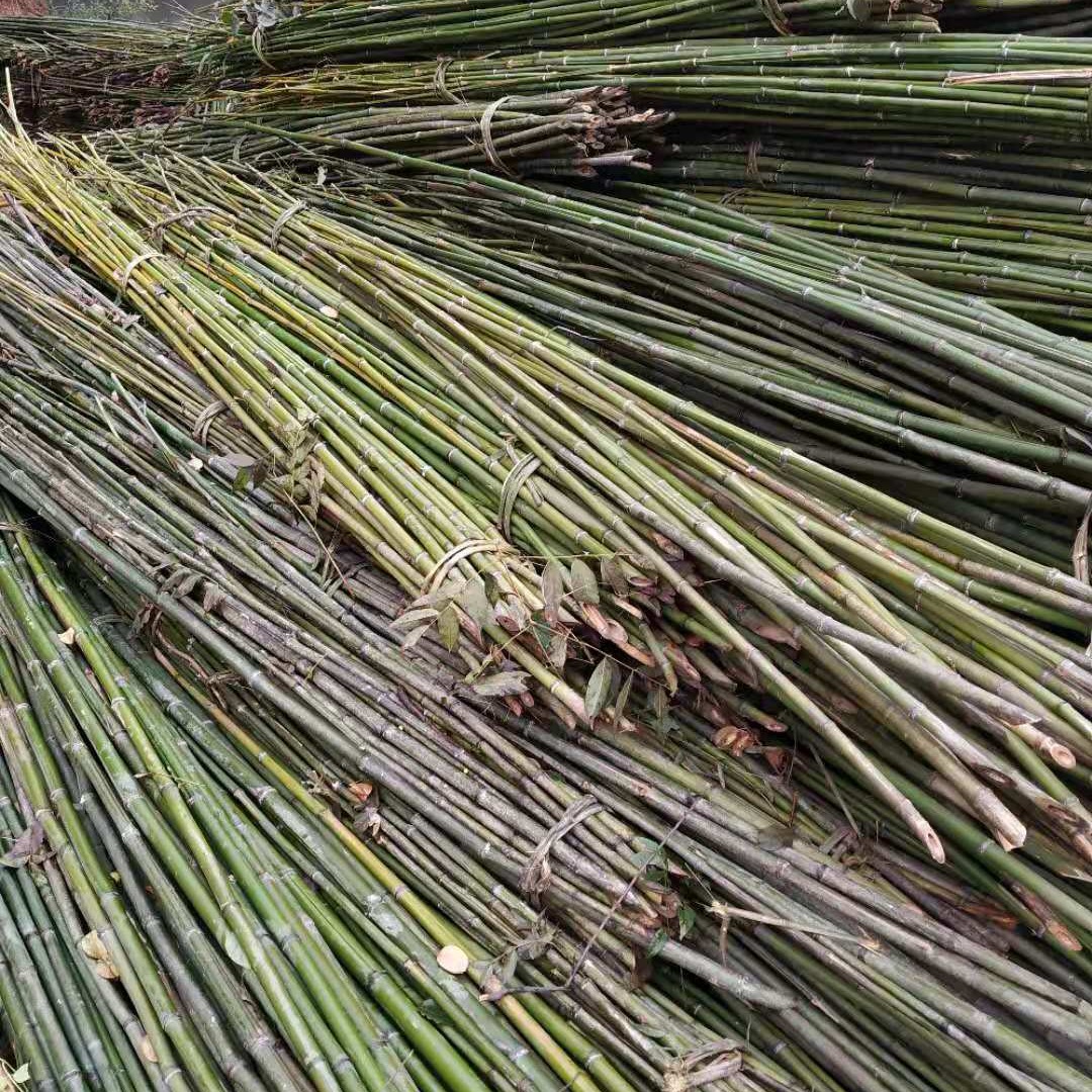 产地供应2·2米菜架竹 菜架 竹片 2-3米菜架竹批发 撑树竹杆 大棚竹杆图片