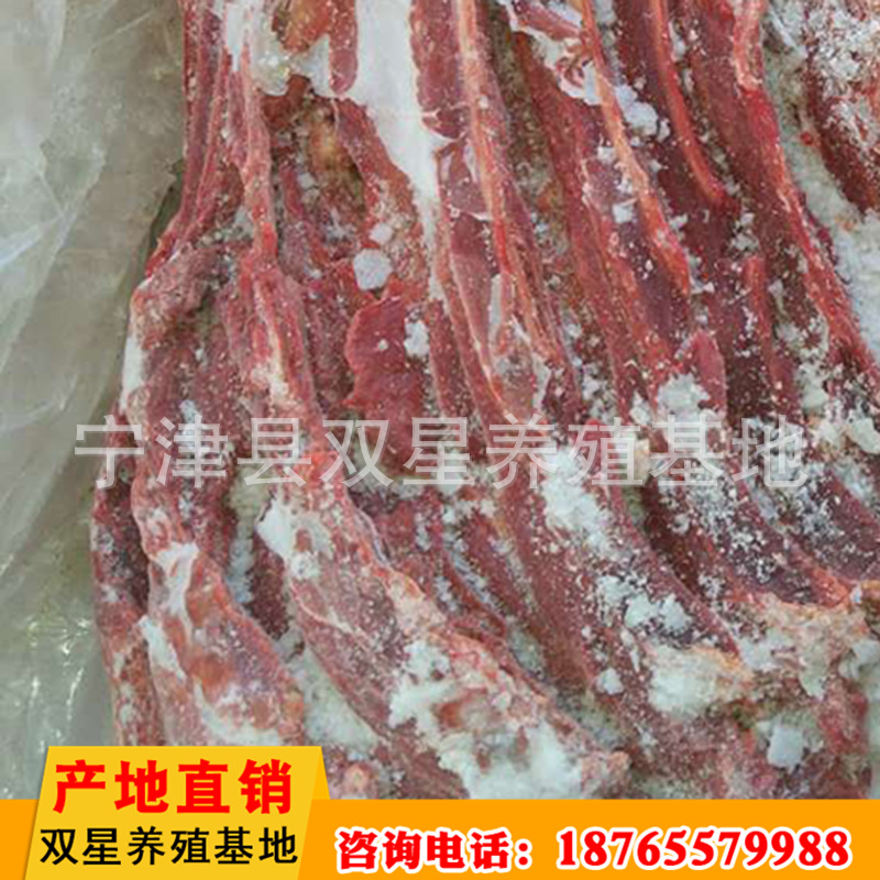 批发供应蒙古马鲜马肉 活马屠宰新鲜营养肋条肉 肉质鲜美进口马肉示例图9