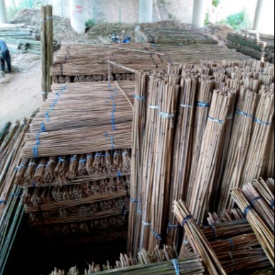 京西竹业 大量批发供应甘肃酒泉绑扶枸杞树苗专用的各类优质绑竹杆