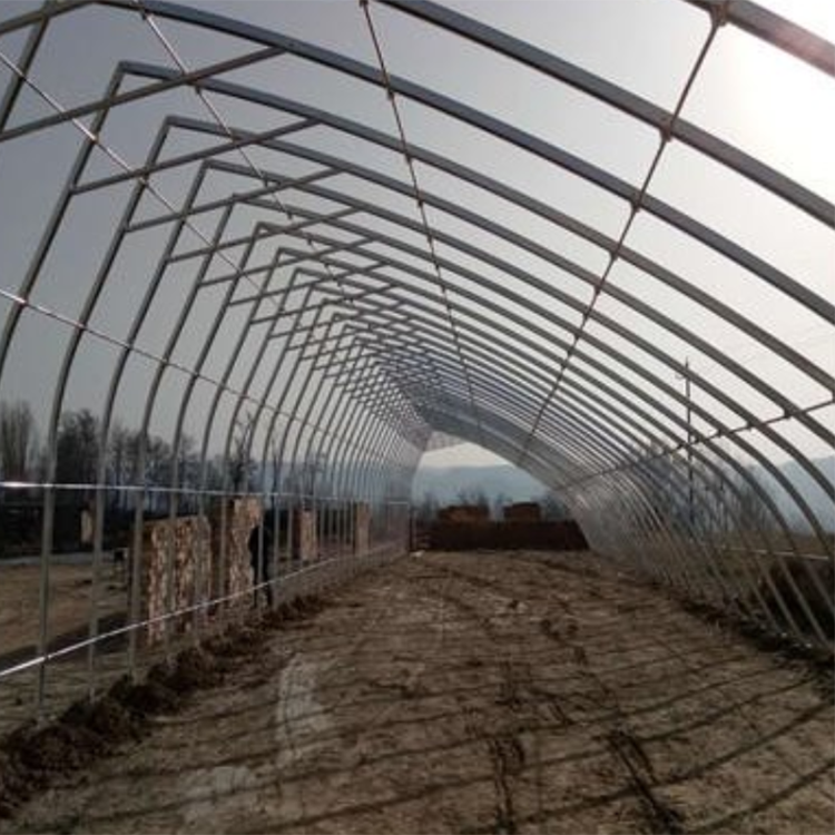 丞昊农业供应 日光棚 西瓜种植 几字钢日光温室 专业设计