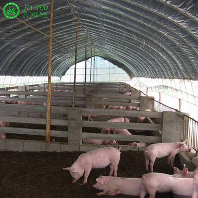 圆管养猪大棚 丽水圆管养猪大棚 圆管养猪大棚建设厂家图片