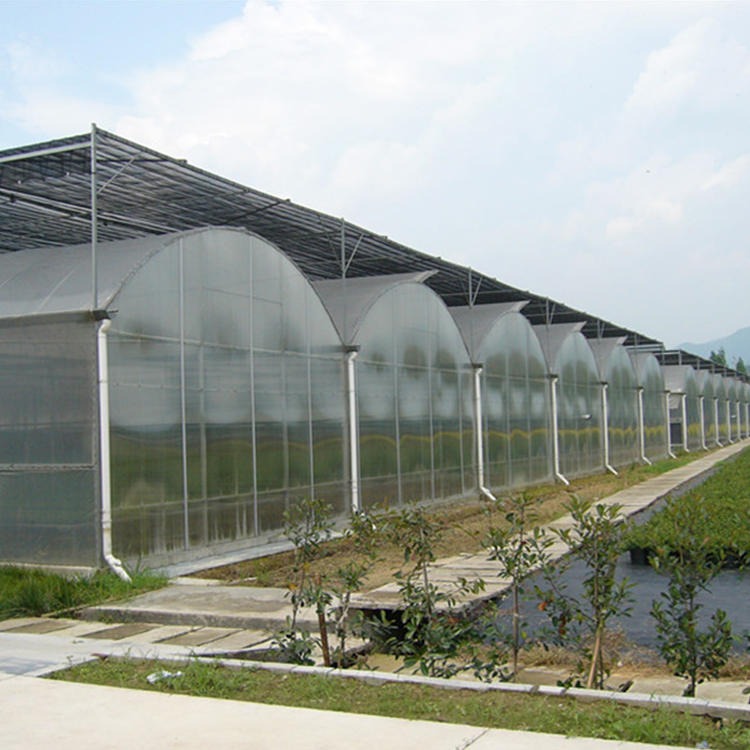 博伟 薄膜温室 新型日光温室大棚 蔬菜塑料大棚 蔬菜育苗温室