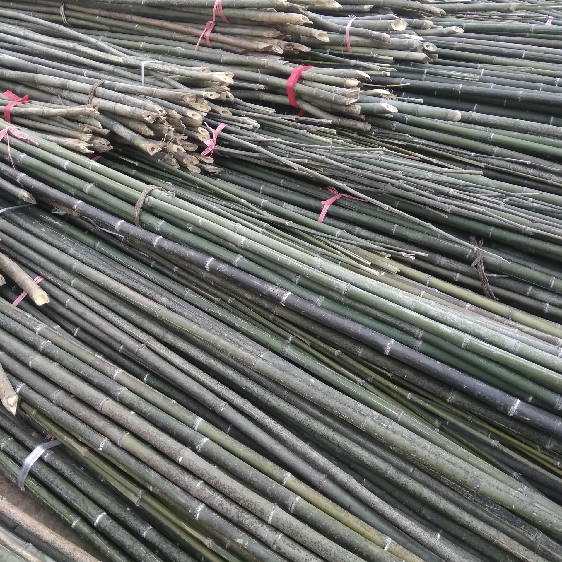 各种规格农用竹杆 大棚竹杆4-8米 菜架杆2-3米 架条竹竿 竹竿架条