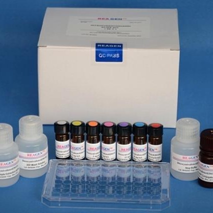 试剂盒 大鼠可溶性细胞间粘附分子1试剂盒 sICAM-1试剂盒 ELISA试剂盒 慧嘉生物