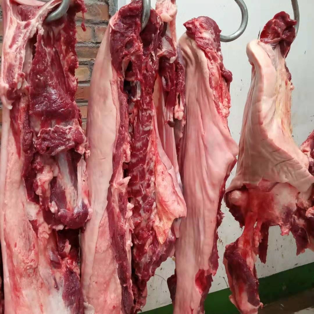 活驴新疆屠宰新鲜驴肉 生鲜驴肉肉质新鲜 后腿驴肉