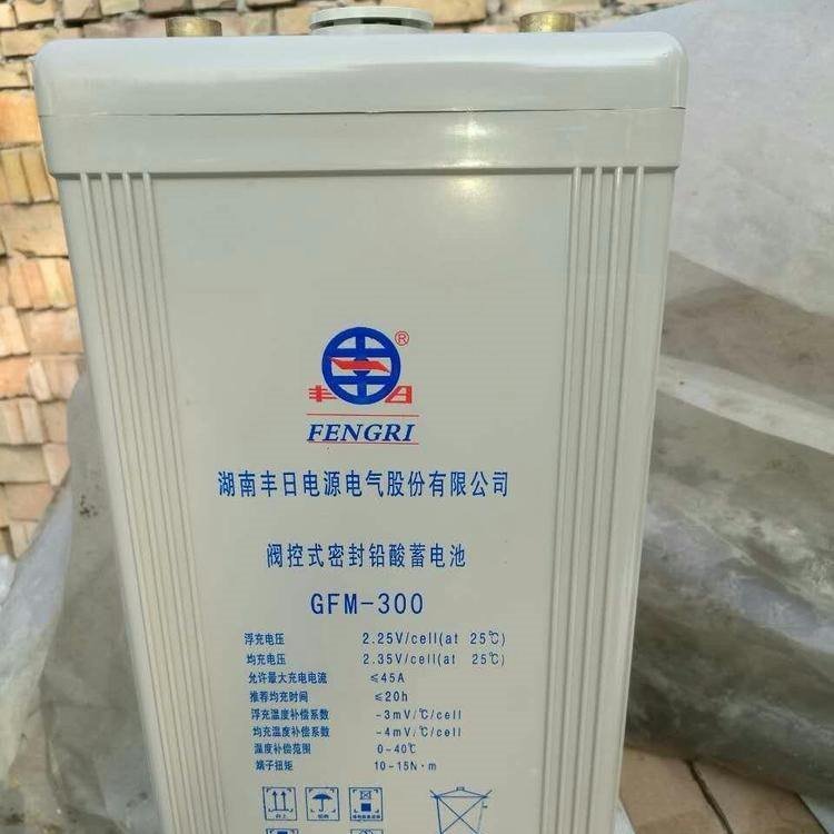 丰日蓄电池GFM-300 2V300AH储能电池 通讯 eps电源用 铅酸电池