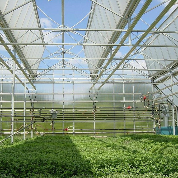 博伟  果树玻璃温室大棚 四季农业温室大棚 新型蔬菜玻璃大棚 温室花卉玻璃房 品质保障