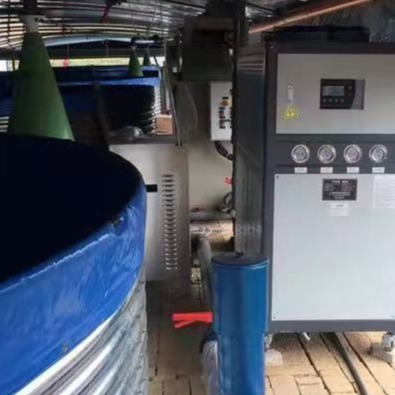 海鲜池冷暖机 海鲜池制冷设备 海鲜养殖冰水机 鱼缸冷暖机 诺雄牌 厂家直销图片