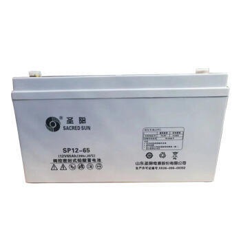 圣阳蓄电池 SP12-65 ups电源蓄电池 12V65AH 铅酸免维护蓄电池 太阳能电池 EPS电源蓄电池