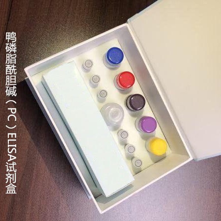 鸭磷脂酰胆碱（PC）ELISA试剂盒  WSJH90024A 96T 维克奇