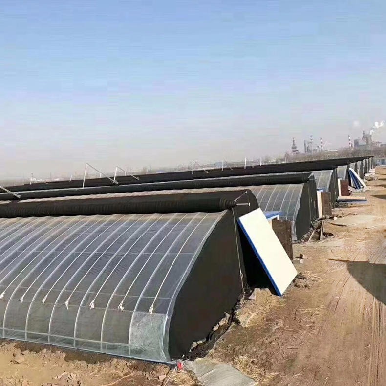 白沟日光温室大棚 草莓种植暖棚 半坡式暖棚 日光温室生产厂家一站式服务图片