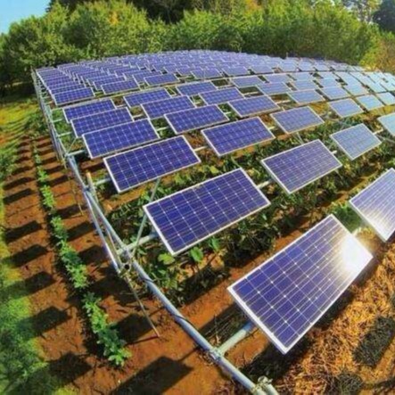 光伏发电 农光互补电站 太阳能发电 光伏农业结合 筑丰科技图片