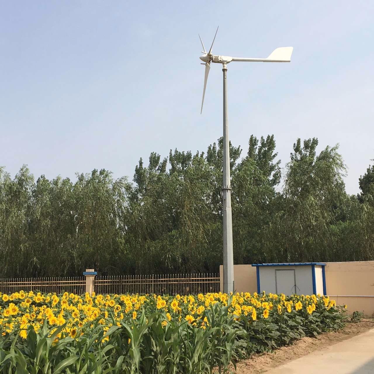 甘肃2千瓦山顶安装水平轴风力发电机 养殖蔬菜基地使用晟成