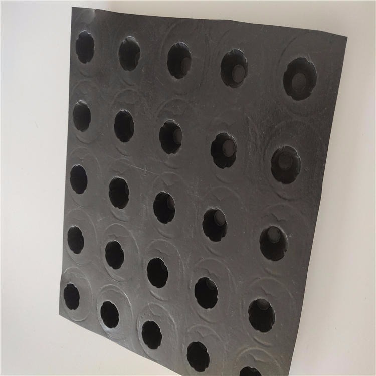 四川凹凸型塑料排水板 20高塑料排水板 车库顶板排水板