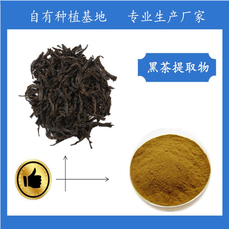 黑茶浓缩粉 黑茶提取物 黑茶粉 厂家现货 斯诺特生物图片