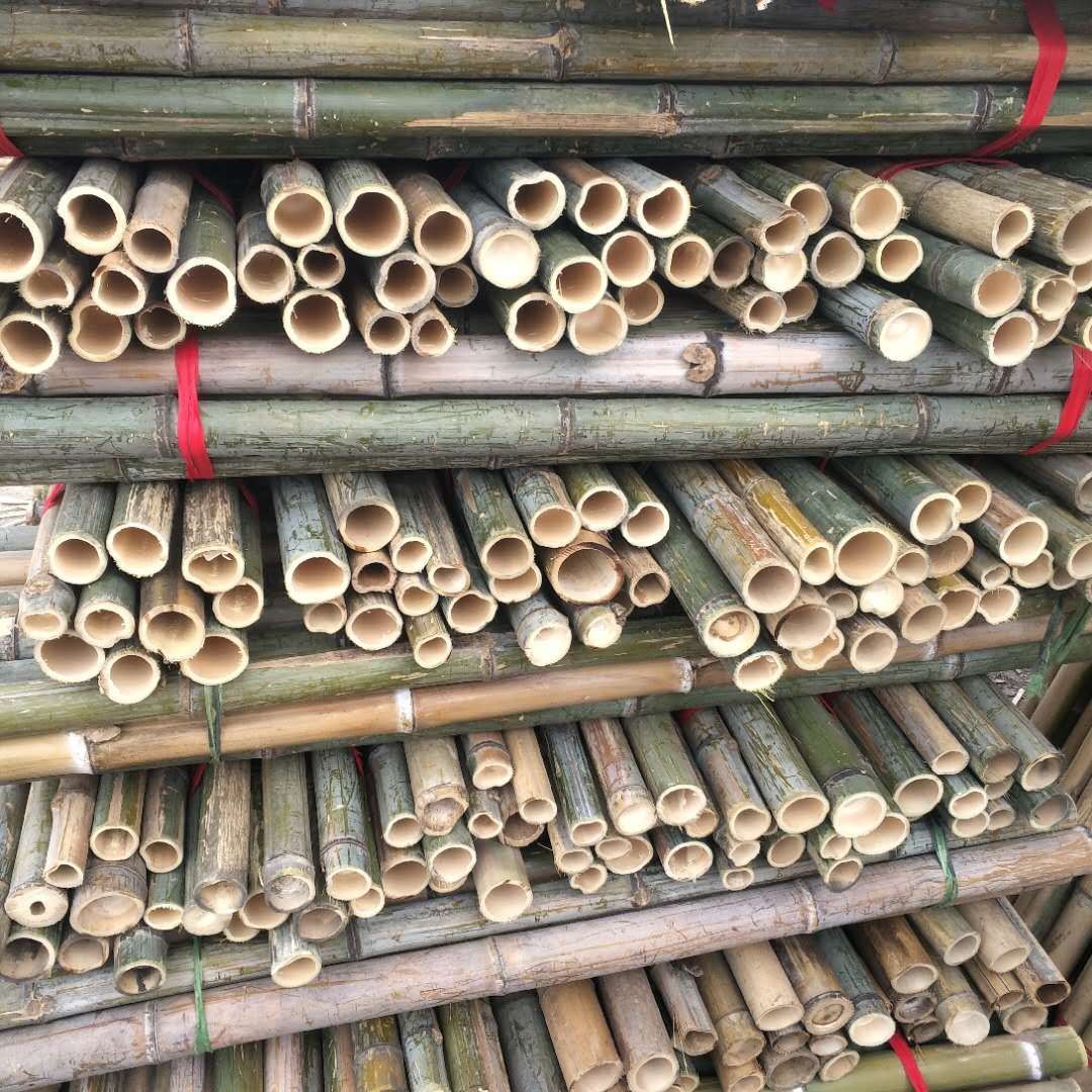 植树造林厂家 批发4年以上毛竹稍 山药树木支撑杆 农用搭架竹竿 绿化施工用竹杆