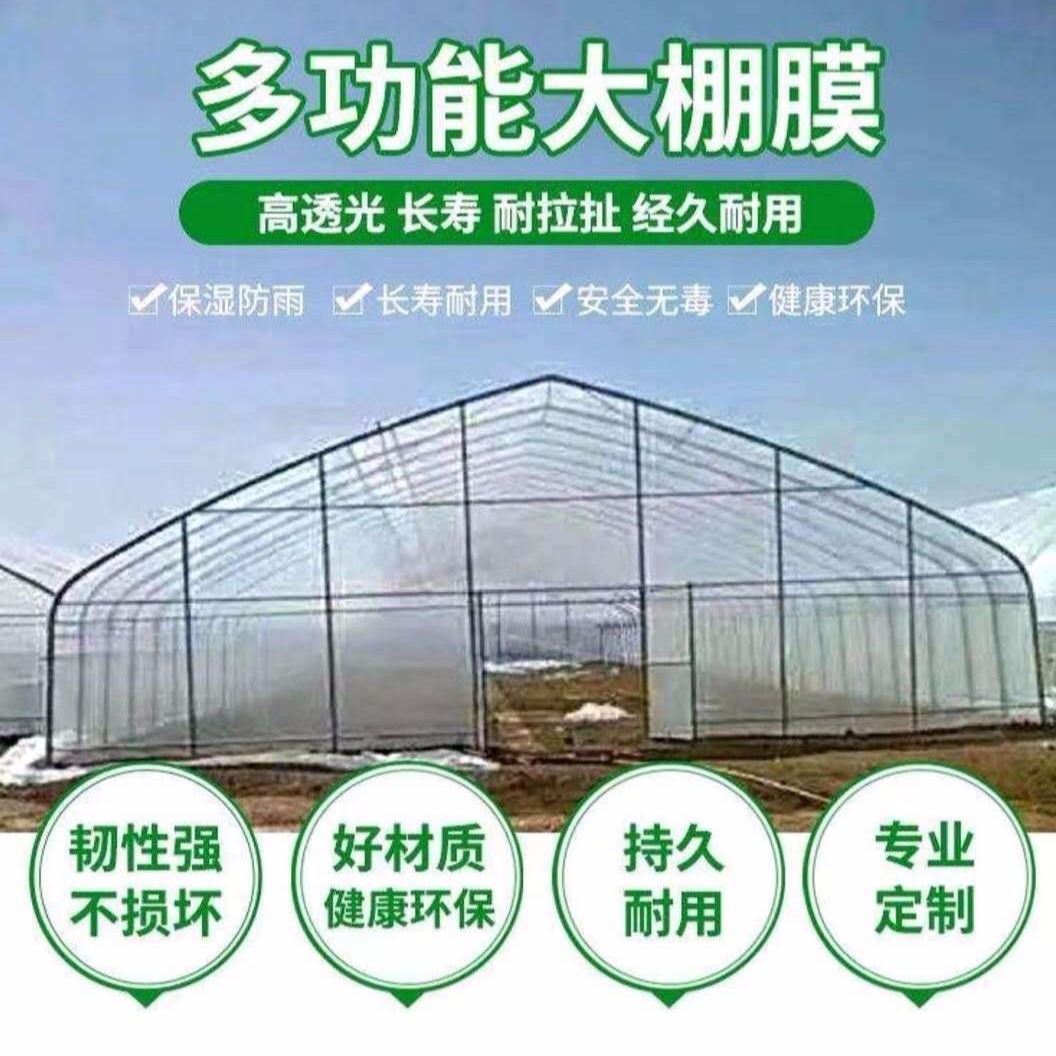 生产花卉大棚 蔬菜大棚价格 温室大棚单价 单体大棚  厂家制作 支持货到付款