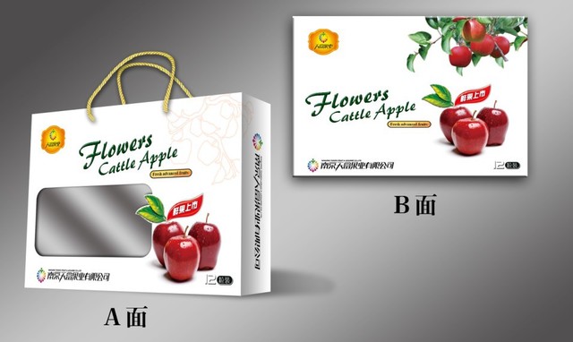 苹果包装盒-香橙礼盒-南京源创包装设计制作图片