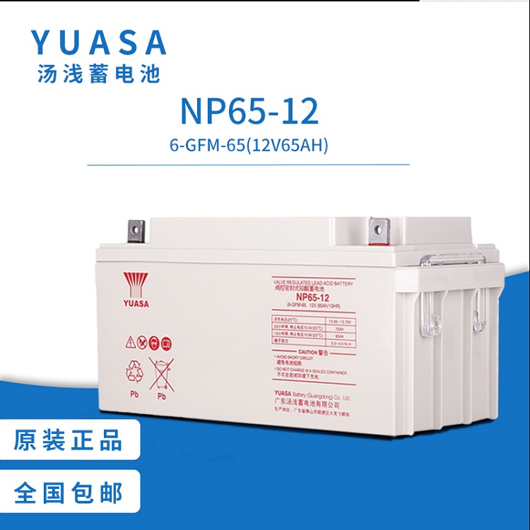 汤浅UPS电池 NP65-12 12V65AH电力系统稳压 机房直流屏替换电源