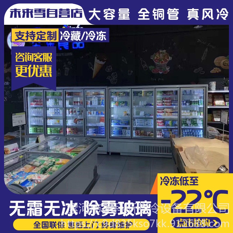 冰科斯-WLX-LSLD-43 南京火锅食材超市冷冻冷藏柜，南京火锅材料保鲜柜案例  火锅海鲜冷冻柜