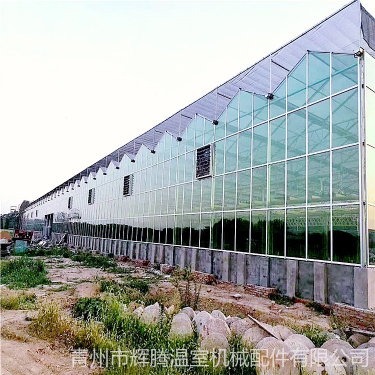 荆州地区大棚造价 仓储拱形大棚 经验丰富的温室企业 旭航温室1