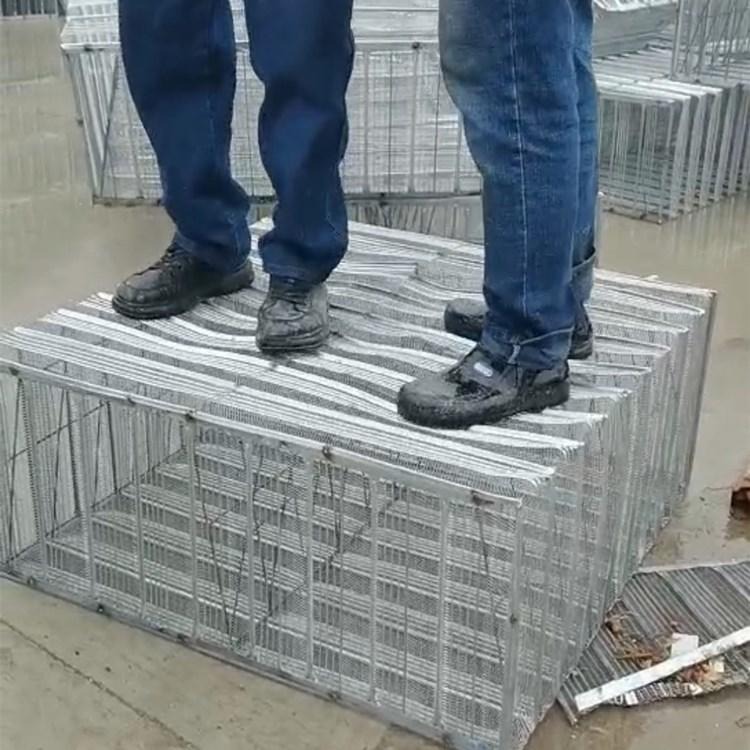 建筑BDF钢网箱A建筑钢网箱用途A生产建筑钢网箱厂家 恩兴图片