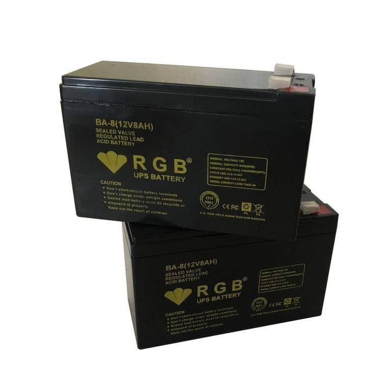 美国RGB蓄电池BA-25 12V25AH原装进口 销售报价图片